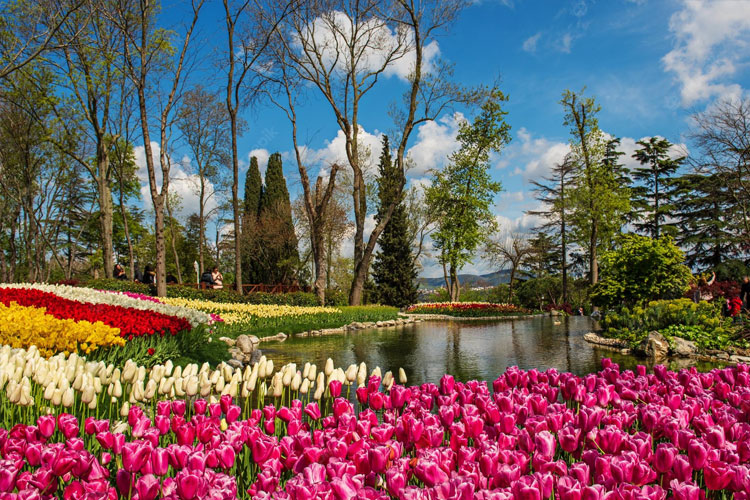 پارک گلخانه یکی از جاذبه های گردشگری استانبول